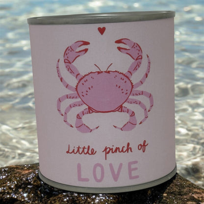 Little Pinch of Love Soy Wax Candle Tin – Cute Coastal Gift Candle